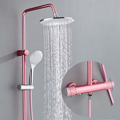 表面のめっきの浴室のシャワーのコックのステンレス鋼の熱く、冷たい蛇口